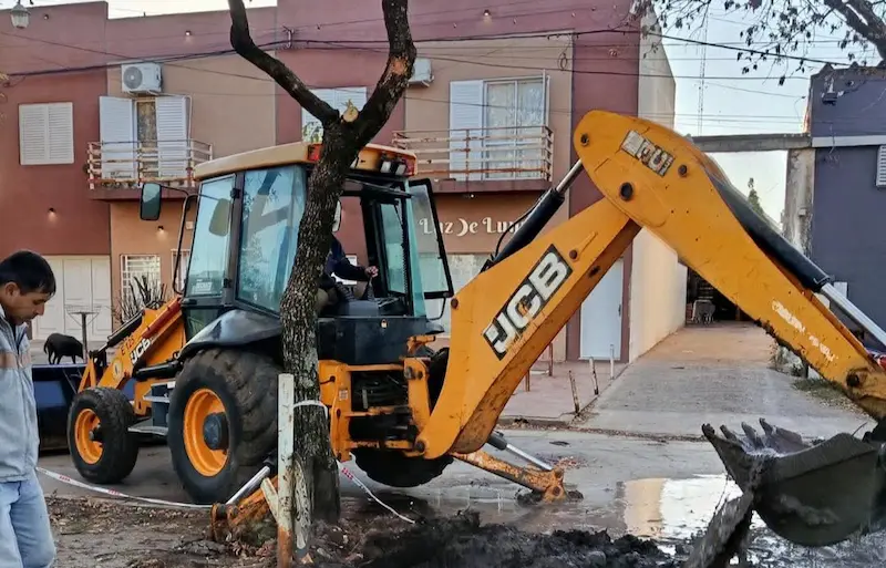 articulo-7