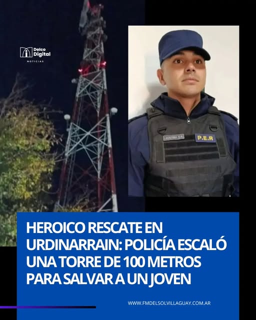 articulo-2
