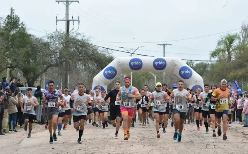 articulo-6