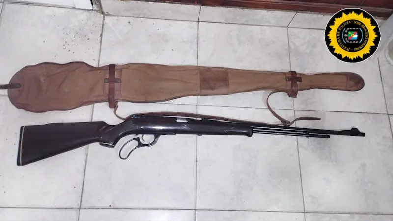 articulo-8
