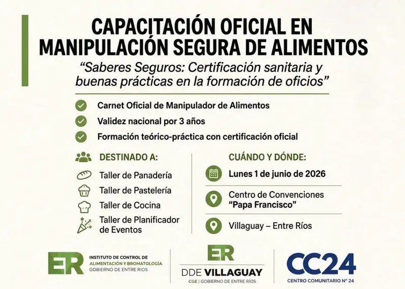 articulo-6