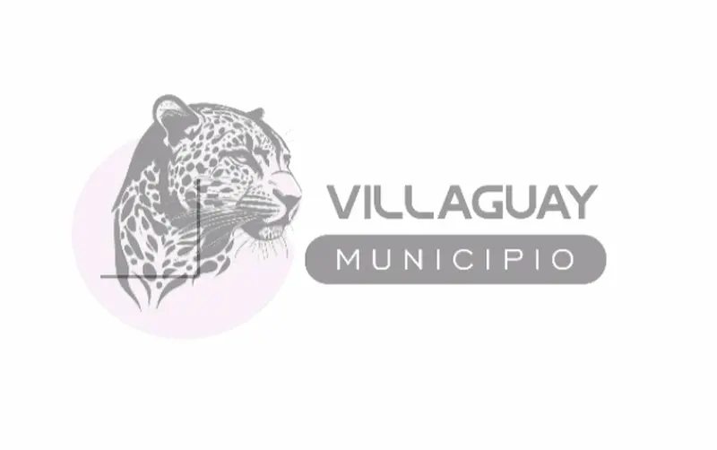 articulo-1