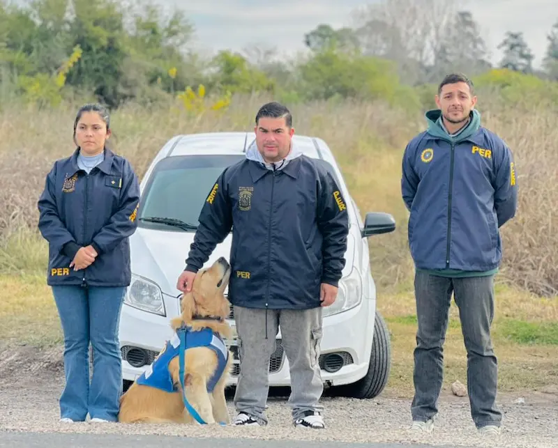 articulo-3