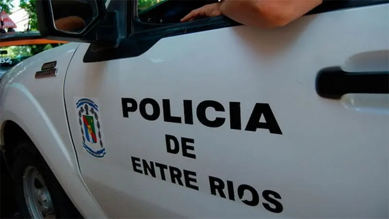 articulo-1