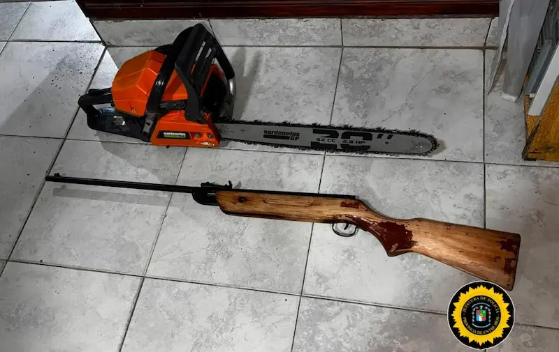 articulo-1