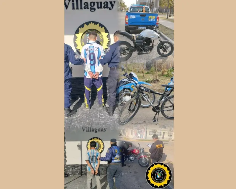 articulo-2