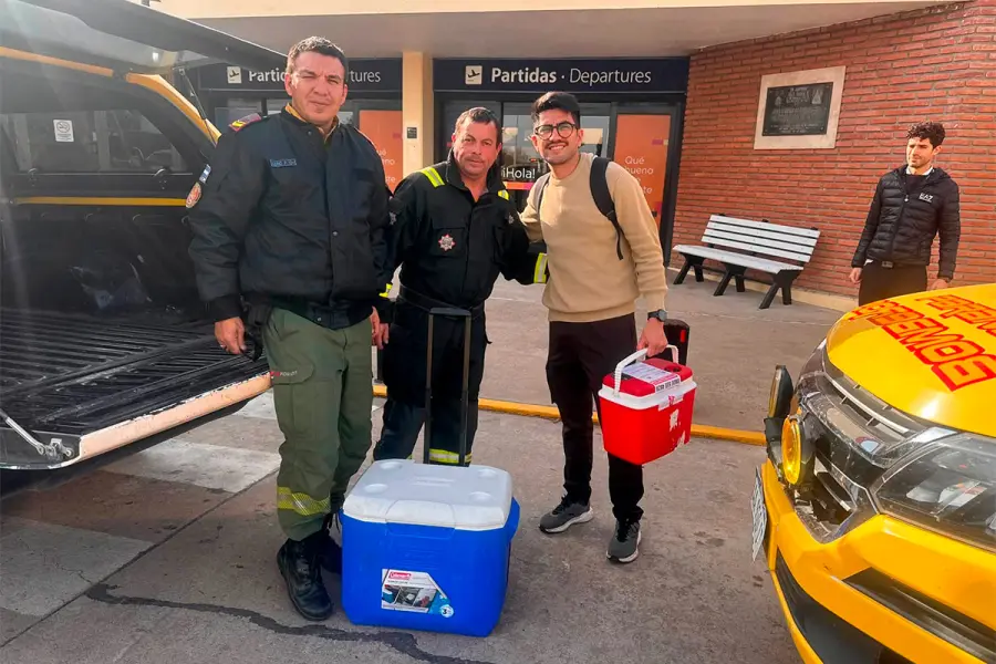 articulo-1
